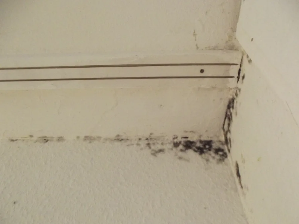 Technician in protective gear removing a mold-damaged wall in a Narberth home
